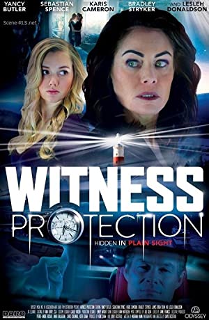 Witness Protection (2017) starring Yancy Butler on DVD on DVD